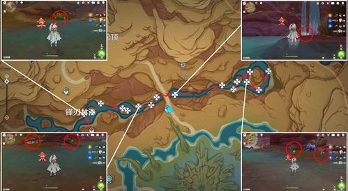 《原神》海露花采集攻略：快速找到最佳位置