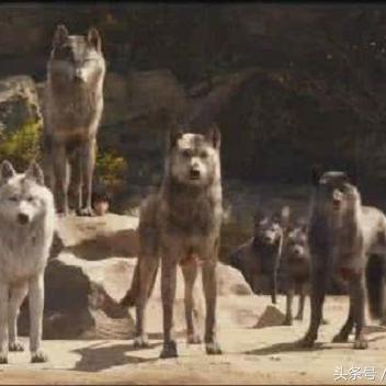 《饿狼传说群狼之城》堕落洛克浮空连招攻略分享 《饿狼传说群狼之城》堕落洛克浮空连招攻略分享