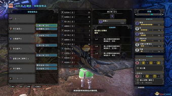 《荒野斩斧风铗龙新样式路线攻略》 《荒野斩斧风铗龙新样式路线攻略》