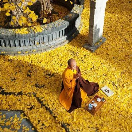 《宝可梦朱紫》雄伟牙必得攻略:独家捕捉秘境大揭秘 《宝可梦朱紫》雄伟牙必得攻略:独家捕捉秘境大揭秘