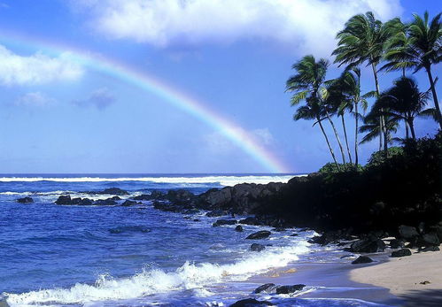 《文明7》夏威夷文明攻略：揭秘夏威夷独特优势