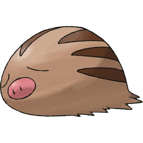 《宝可梦集结》象牙猪攻略:技能搭配与最佳持有物揭秘 《宝可梦集结》象牙猪攻略:技能搭配与最佳持有物揭秘