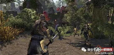 《上古卷轴OL》家园更新PS4/XBOX ONE,独家揭秘! 《上古卷轴OL》家园更新PS4/XBOX ONE,独家揭秘!