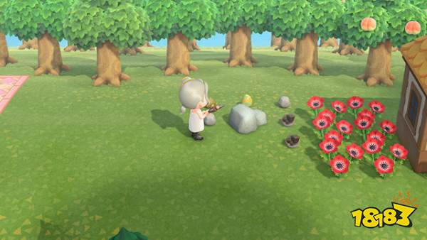 《动物森友会》独家!足球场设计图大揭秘,打造梦幻绿茵场 《动物森友会》独家!足球场设计图大揭秘,打造梦幻绿茵场