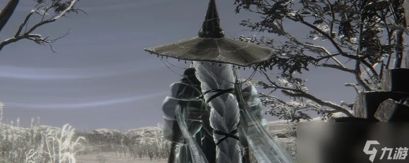 《艾尔登法环》结晶人隐士攻略:深度解析黑夜君临玩法 《艾尔登法环》结晶人隐士攻略:深度解析黑夜君临玩法