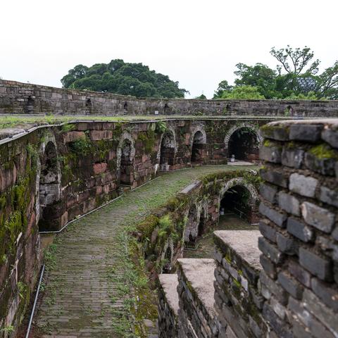 《空洞骑士丝之歌》苔藓之母攻略:掌握高效打法,轻松通关! 《空洞骑士丝之歌》苔藓之母攻略:掌握高效打法,轻松通关!