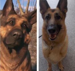 《辐射4》萌宠狗狗新截图曝光!必看萌宠游戏瞬间 《辐射4》萌宠狗狗新截图曝光!必看萌宠游戏瞬间