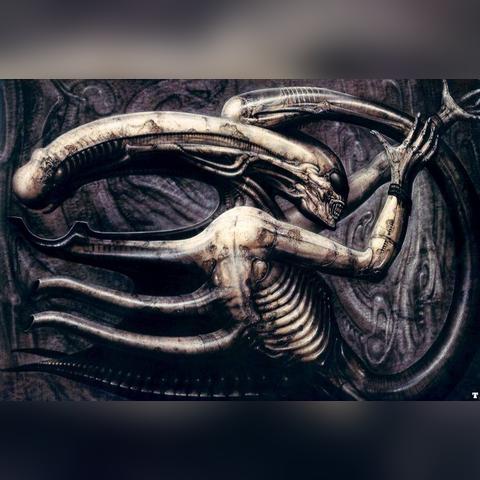 《恋与深空》人民日报携手，打造睡眠好习惯游戏挑战