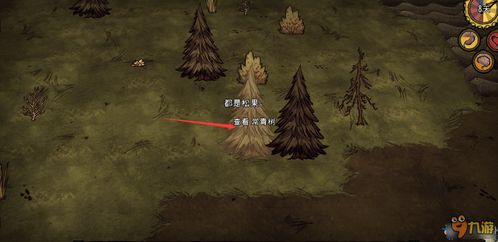 《饥荒》TGP版生存攻略:新手必看生存技巧揭秘 《饥荒》TGP版生存攻略:新手必看生存技巧揭秘