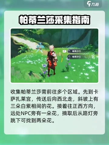 《原神》3.1版帕蒂莎兰高效寻宝攻略,解锁神秘宝藏新玩法 《原神》3.1版帕蒂莎兰高效寻宝攻略,解锁神秘宝藏新玩法