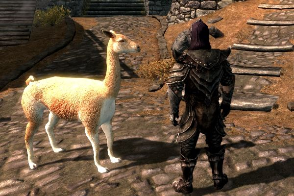 《上古卷轴5》打造专属动物随从,轻松入门教程攻略! 《上古卷轴5》打造专属动物随从,轻松入门教程攻略!