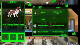 《辐射避难所》宠物属性深度解析+图鉴,轻松掌握宠物获取攻略! 《辐射避难所》宠物属性深度解析+图鉴,轻松掌握宠物获取攻略!