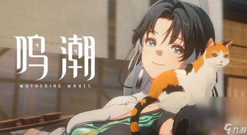 《鸣潮》声骸系统深度解析：新手必看攻略！