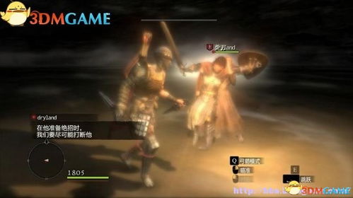 《龙之信条2》全金帝王艳金龟攻略：一招轻松收集！