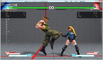 《街头霸王5》连招攻略揭秘:角色技巧视频教程,快速提升实战技巧 《街头霸王5》连招攻略揭秘:角色技巧视频教程,快速提升实战技巧