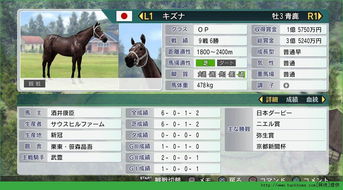 赛马大亨8护符速拿攻略,轻松赚钱技巧揭秘 赛马大亨8护符速拿攻略,轻松赚钱技巧揭秘