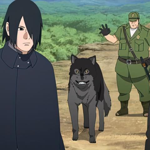 1. 《火影博人传》新角色揭秘：五大神秘忍者登场！
2. 《博人传》新篇章！五大神秘忍者加盟，谁将引领忍界？
3. 《火影博人传》追加5大新角色，揭秘隐藏实力！
4. 《博人传》新忍者阵容曝光：五大神秘角色引期待！
5. 《火影博人传》新角色集结，五大神秘忍者即将亮相！