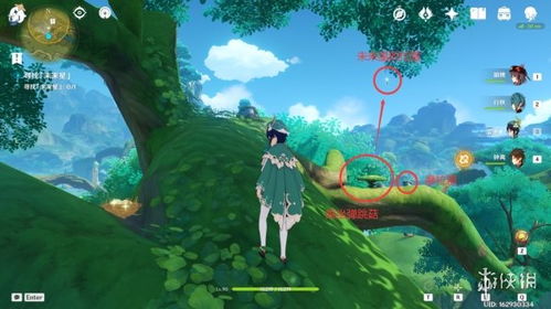 《原神》寻星之旅第五天攻略揭秘：轻松通关技巧大公开