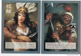 《三国志12》武将风采揭秘:官方画册深度解析,领略英雄本色 《三国志12》武将风采揭秘:官方画册深度解析,领略英雄本色