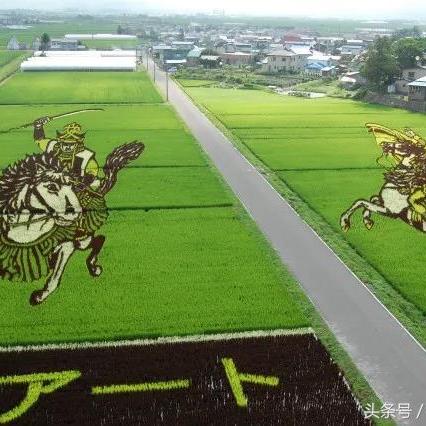 《村长打天下》武将竞技场:独家秘籍助你称霸江湖 《村长打天下》武将竞技场:独家秘籍助你称霸江湖