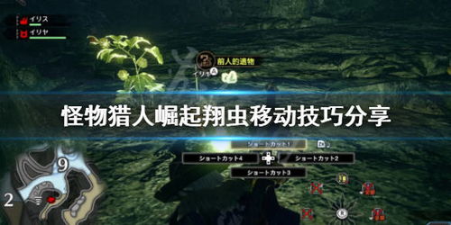 曙光3.0奇袭轻弩升级攻略:怪物猎人崛起最强配装解析 曙光3.0奇袭轻弩升级攻略:怪物猎人崛起最强配装解析