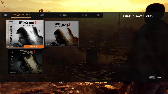 《消逝的光芒》安装攻略：轻松入手，体验惊悚冒险之旅