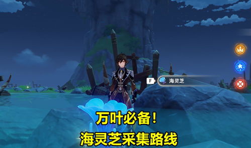 《原神》坎蒂丝突破必备:高效素材搜集攻略秘籍 《原神》坎蒂丝突破必备:高效素材搜集攻略秘籍