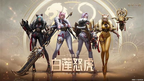 《命运方舟》枪术士必爆流派神装攻略,轻松上分! 《命运方舟》枪术士必爆流派神装攻略,轻松上分!