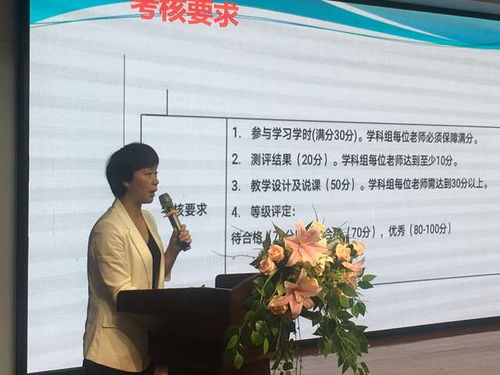 《都市天际线2》高效升级攻略:建筑快速提升秘诀 《都市天际线2》高效升级攻略:建筑快速提升秘诀