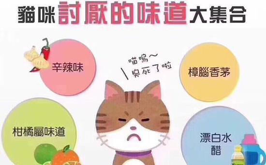 《双人成行》新手攻略:高效合作技巧大揭秘 《双人成行》新手攻略:高效合作技巧大揭秘