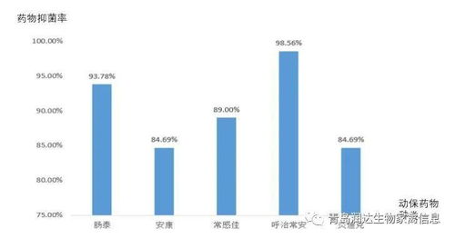 《明末渊虚之羽》药童支线攻略:轻松完成垂髫小童任务 《明末渊虚之羽》药童支线攻略:轻松完成垂髫小童任务