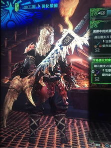 《荒野猎人机械太刀毕业神装攻略》 《荒野猎人机械太刀毕业神装攻略》