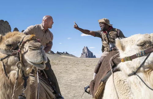 《悬崖之马》新游曝光:惊险探险,马背上的冒险之旅 《悬崖之马》新游曝光:惊险探险,马背上的冒险之旅