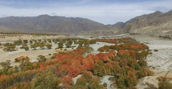 《七日世界》建家圣地揭秘:第二阶段必争宝地 《七日世界》建家圣地揭秘:第二阶段必争宝地