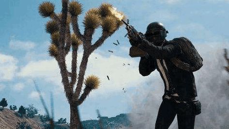 《绝地求生》武器平衡调查：玩家心声，官方倾心聆听