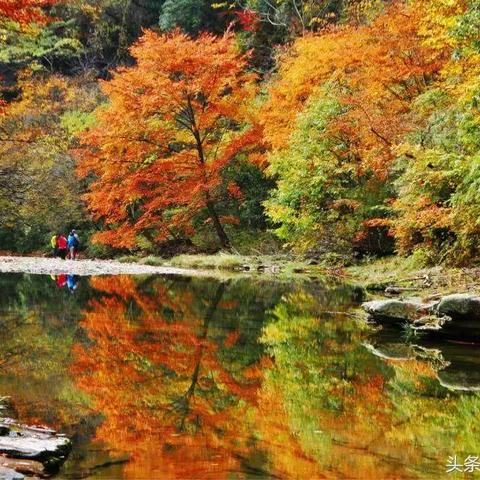 九寨沟保洁员十一黄金周遭骂,玩家热议! 九寨沟保洁员十一黄金周遭骂,玩家热议!