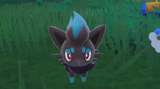 《宝可梦朱紫》闪光索罗亚捕获技巧揭秘! 《宝可梦朱紫》闪光索罗亚捕获技巧揭秘!