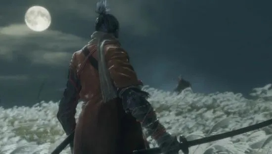 《只狼》试玩版无伤通关攻略:全程零血挑战! 《只狼》试玩版无伤通关攻略:全程零血挑战!