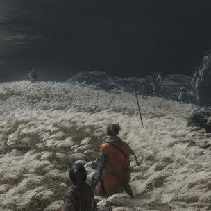 《只狼》实战攻略:24招战斗技巧,新手必看! 《只狼》实战攻略:24招战斗技巧,新手必看!