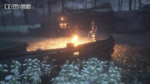 《瘟疫传说》白金攻略:全路线解析+奖杯解锁秘籍 《瘟疫传说》白金攻略:全路线解析+奖杯解锁秘籍