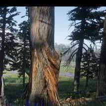 《荒野探险:PS4独占RPG巨作揭秘》 《荒野探险:PS4独占RPG巨作揭秘》