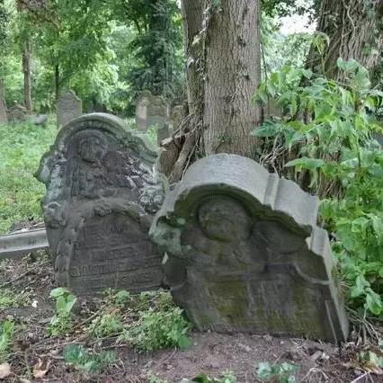 《暗喻幻想》废弃坟墓宝箱攻略:轻松获取宝藏秘籍 《暗喻幻想》废弃坟墓宝箱攻略:轻松获取宝藏秘籍