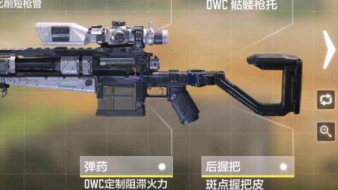 《AK-12配件全解析:实战演示,提升射击体验》 《AK-12配件全解析:实战演示,提升射击体验》