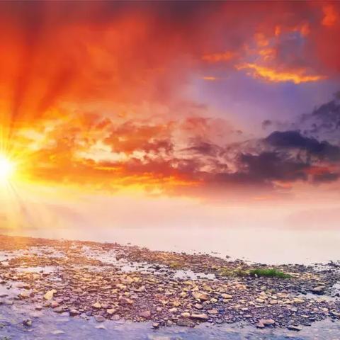 《恶意不息》无限吸血技能攻略:BD分享秘籍大公开 《恶意不息》无限吸血技能攻略:BD分享秘籍大公开