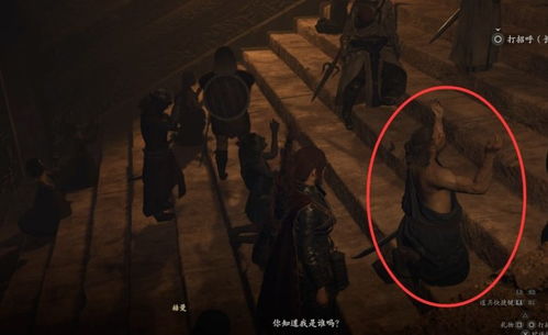 《龙之信条2》揭秘:如何击败暗中逼近圣焰的黑影 《龙之信条2》揭秘:如何击败暗中逼近圣焰的黑影