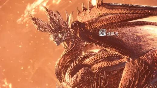 《冰原煌黑龙攻略》:最强装备搭配全解析 《冰原煌黑龙攻略》:最强装备搭配全解析