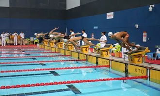 跳水女神郭晶晶担任北京景山学校体育校长