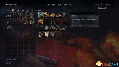 《恶意不息回声骑士攻略：全招式打法深度解析》