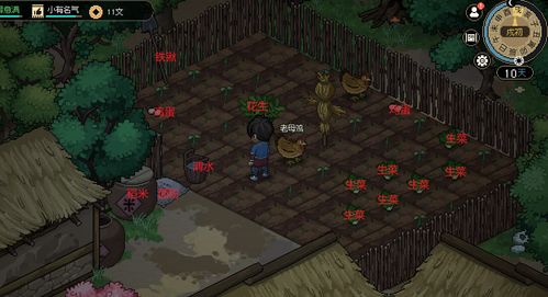 《大侠立志传》全金甲武秘境寻宝攻略! 《大侠立志传》全金甲武秘境寻宝攻略!