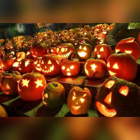 《丧尸围城3》万圣狂欢:奇装异服狂虐丧尸! 《丧尸围城3》万圣狂欢:奇装异服狂虐丧尸!